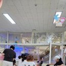 쌍둥이수퍼 - 구로구 | [서울형 키즈카페] 동작구 상도2동점 후기 | 12개월 남매쌍둥이의 실제 이용 후기