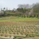 덕정 농장 이미지