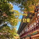 단양소백산한옥민박 | 단양 가볼만한곳, 구인사 단풍 실시간 모습과 보발재 전망대