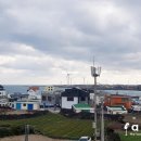 월정씨하루 이미지