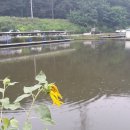 지곡낚시터 이미지