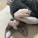 남양점 현대자동차 이미지