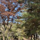 모둘자리 | 홍천ㅣ가장 재밌었던 워크샵, 모둘자리