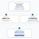 연씨앤피