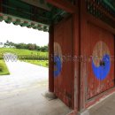 홍주의사총 이미지