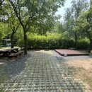 도학야영장 이미지