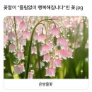 행복회로 이미지