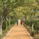 구림산책길 이미지