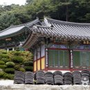 영주 비로사 석조아미타여래좌상 이미지