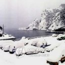 독도세탁 이미지