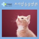 구리동물병원