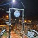 산속비버스 이미지