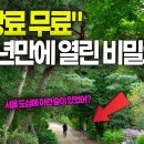 고려대역 Daum카페