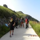 지남식 Daum카페