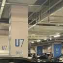 영도펫마트 | 잠실 롯데타운 크리스마스 마켓 주말 사전예약 입장 롯데월드몰 주차