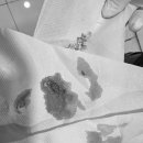 문정탑동물병원 이미지