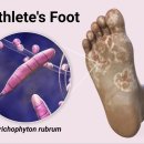 변정형외과의원 이미지