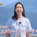 정원본가 뉴스엔
