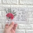 데이지솝 - 원주시 평원초교길 28-6 | 데이지솝