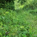 신장농장 이미지