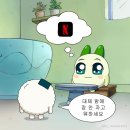 아직 여름..인걸로 하자
