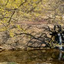 화전3리 마을회관 이미지