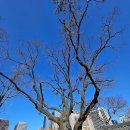 예진금속 이미지