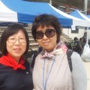 금오초교 이미지