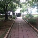 강남-151 이미지