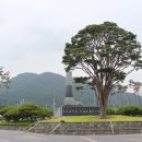 화순 하니움문화스포츠센터 체육관 이미지