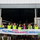 충청 축산 이미지