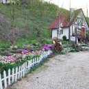 미래목장 이미지