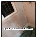동의초등학교 네이버블로그