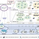 하나에너지 태양광발전소 이미지