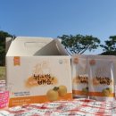 도담컴퍼니 이미지