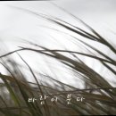 G2305 이미지
