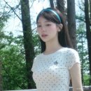 리즈컬러 이미지