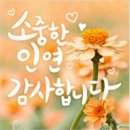 고양시 스타필드에 왔습니다 이미지