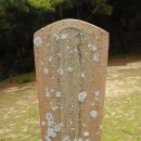 서인충 장군묘소 이미지