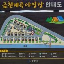 금천계곡 야영장 이미지