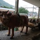 청도추어탕식당 - 경산시 대학로 1544 | 청도추어탕식당