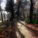 향기가득길 이미지