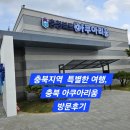 바다속이야기PC | 충북에서 만나는 특별한 물속 여행, 충북 아쿠아리움 방문 후기