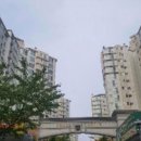 강서구-46 이미지