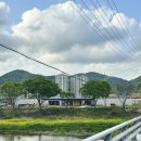 화순돔아일랜드 | [전남/화순] 광주 근교 분위기 좋은 대형카페 추천 화순 미네랄하우스 내돈내산 찐후기(+봄꽃축제)