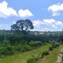 로만토피아오름추억 이미지