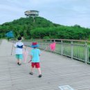 빛가람곤충