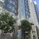 대동아파트1단지 이미지