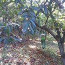 주밤농장 이미지