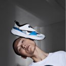 엘레쎄 카카오 검색결과